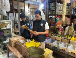 Setelah Depok, Jogja dan NTT, Sidak Minyak Kita Juga Digelar di Sragen, Apapun Hasilnya