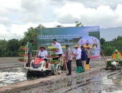 Dukung Target 11 Juta Ton, Gubernur Jawa Tengah Tanam Padi Serentak di Klaten