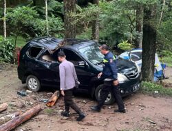 Tragedi Pohon Tumbang di New Sekipan: Wisatawan 12 Tahun Meninggal Saat Berkemah