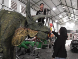Inspiratif! Warga Bantul Ini Sukses “Beternak Dinosaurus” dan Raup Omzet Ratusan Juta Rupiah