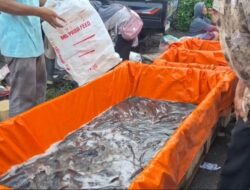 Uniknya Pasar Ikan Talun, Hanya Buka Setahun Sekali, Lho kok Bisa?