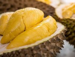 Mengenal Durian Parigi yang Legit tapi Tidak Menyengat