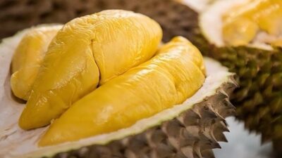 Mengenal Durian Parigi yang Legit tapi Tidak Menyengat