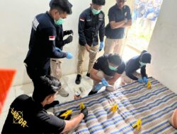 Biadab Kasus Predator Seksual Di Jepara, Polda Jawa Tengah Gelar Olah TKP.