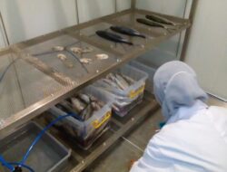Teknologi Berbasis Ozon Oleh Peneliti UNDIP, Dukung Nelayan Indonesia Tingkatkan Kualitas dan Nilai Jual Ikan