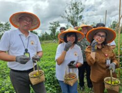Peneliti UGM Berhasil Ubah Limbah Geotermal  Menjadi Endapan Abu Penyubur dan Penguat Tanaman
