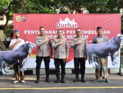 Polda DIY Rayakan Idul Adha 1446 H, Salurkan 41 Ekor Hewan Kurban untuk Masyarakat