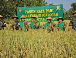 Panen Raya Padi di Lahan Ketahanan Pangan SubDenpom 441/Sragen