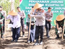 Polda DIY Lakukan Penanaman Serentak di Gunungkidul, Dukung Target Satu Juta Hektar Lahan Jagung