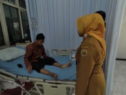 Warga Poncol Dirawat di RSUD Pekalongan Akibat Digigit Ular Hitam, Ada 21 Kasus yang Sama Sejak Januari 2025