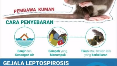 Yogyakarta Catat 18 Kasus Leptospirosis, 5 Meninggal
