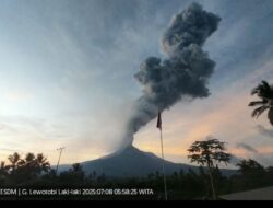 Lewotobi Laki-laki Terus Bergemuruh, Dua Bandara Masih Ditutup