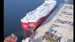 Kapal “Raksasa” Pengangkut Mobil BYD Zhengzhou Merapat di Tanjung Priok