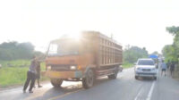 0606268t7895021