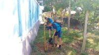 WhatsApp Image 2026-06-12 at 12.41.11