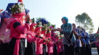 DSC03803